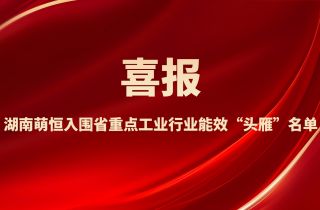 喜報！湖南萌恒入圍省重點工業行業能效“頭雁”名單