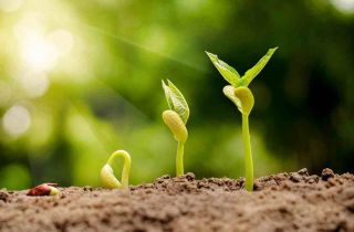 低碳環保生活  由一粒種子開啟 | 國貿“綠色行動，播撒種子”活動回顧