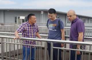 種好梧桐樹，引得鳳凰來