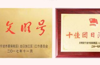 寧波萌恒工貿有限公司榮獲“青年文明號”、“十佳團日”稱號
