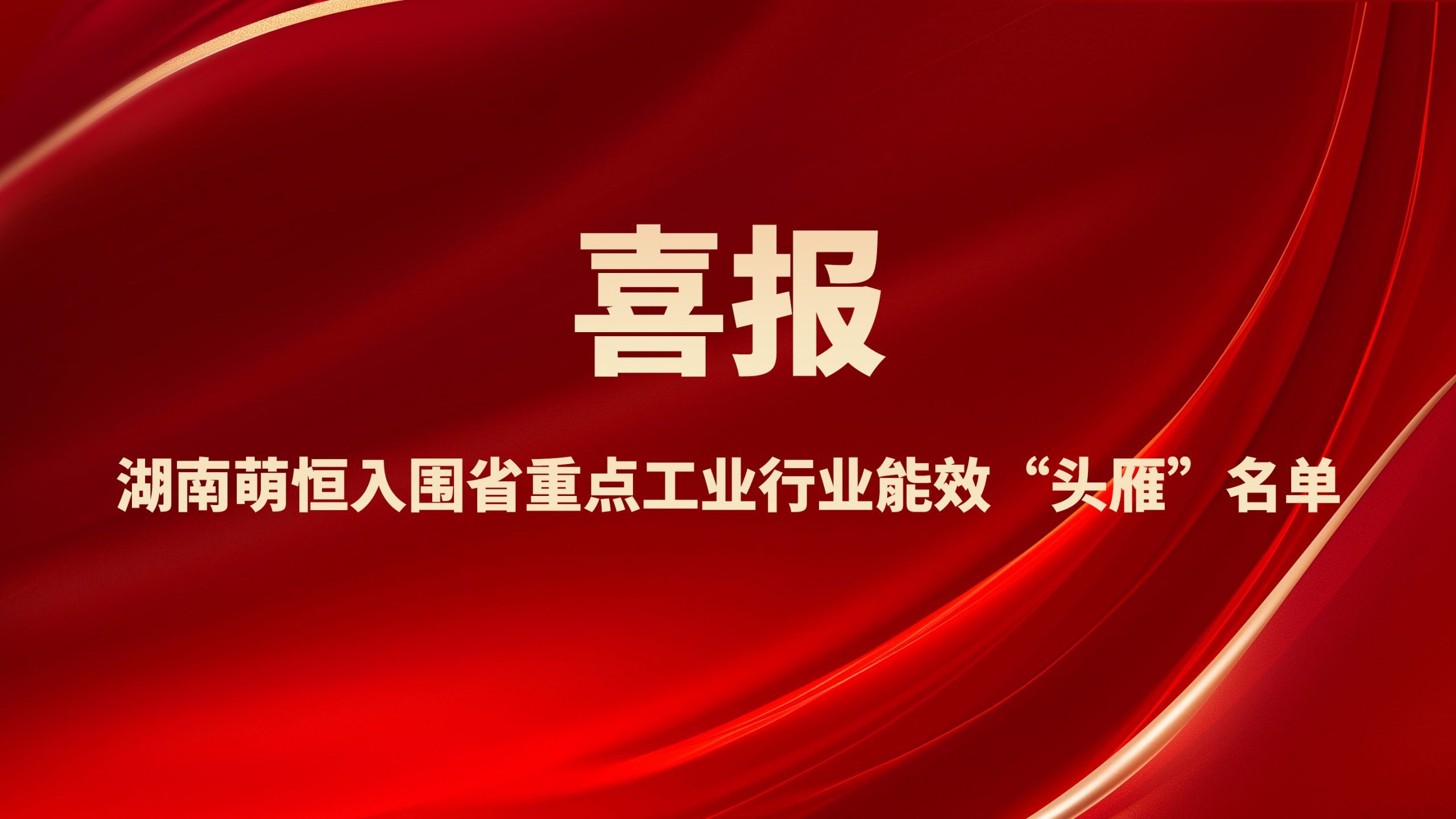 喜報！湖南萌恒入圍省重點工業行業能效“頭雁”名單